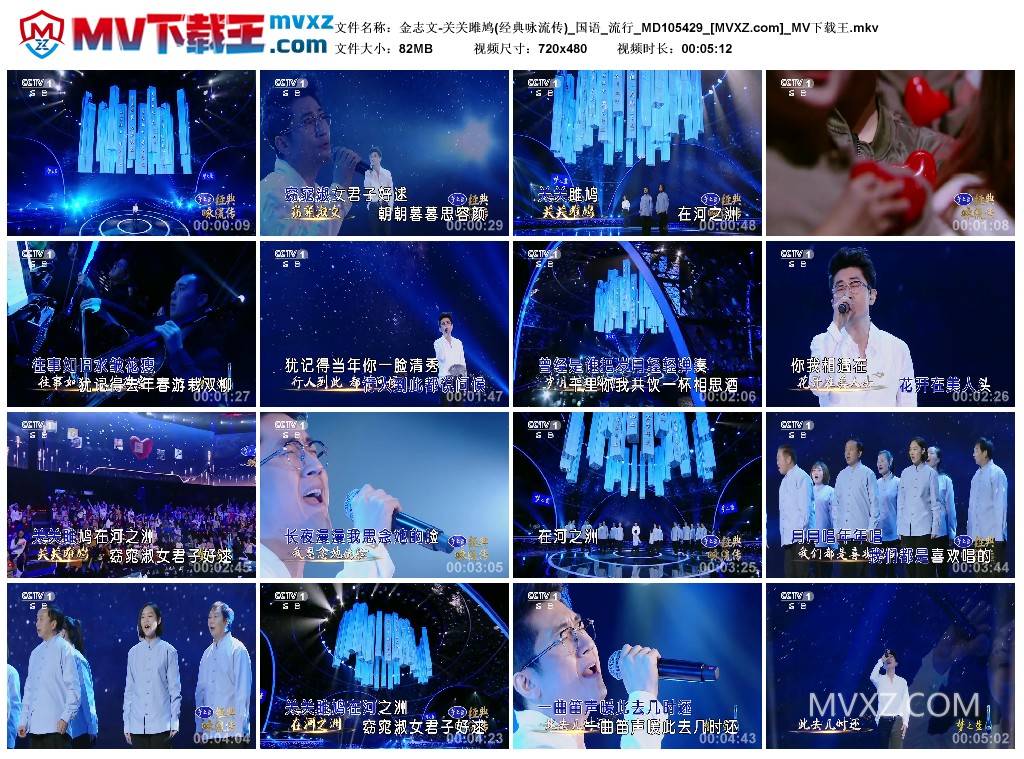 金志文-关关雎鸠(经典咏流传)_国语_流行_MD105429